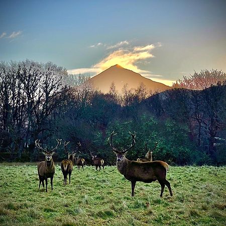 فيلا Loch Rannoch Highland Club كينلوك رانوتش المظهر الخارجي الصورة